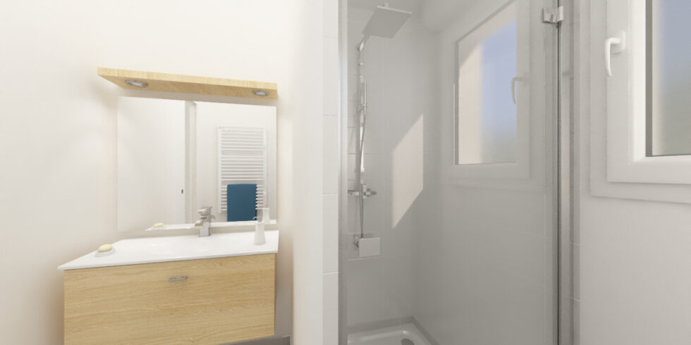 Salle d'eau avec un meuble simple vasque et un douche
